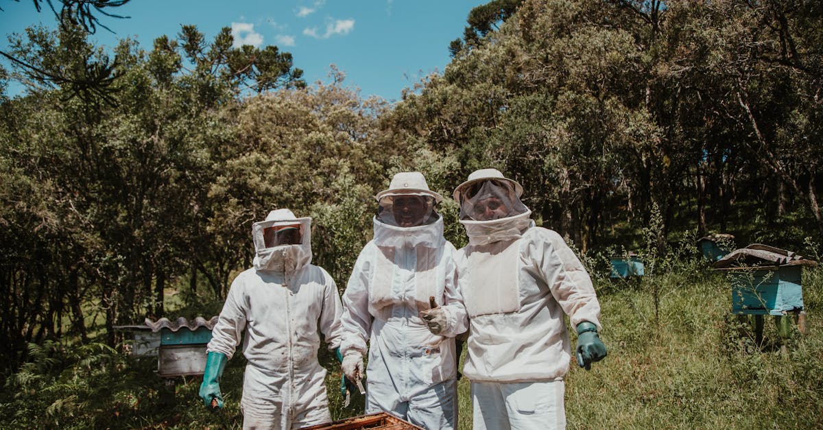 sting proof beekeeping suit