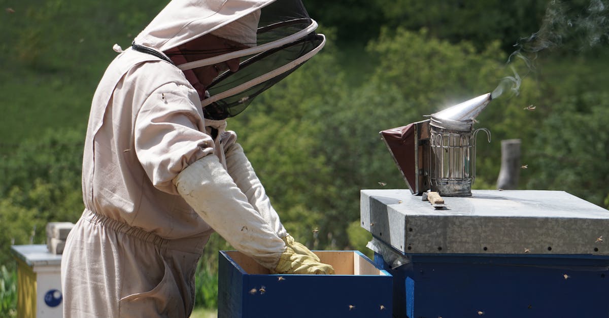 The Best Professional Bee Suit for Safe and Comfortable Beekeeping