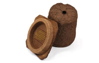 Thumbnail for Wood Pulp Honeybee Swarm Trap - Blythewood Bee Company