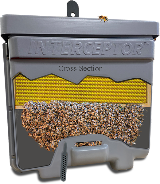 The Interceptor Pro Honeybee Swarm Trap - Blythewood Bee Company